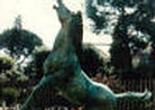 cavallo RAI di Viale Mazzini 
